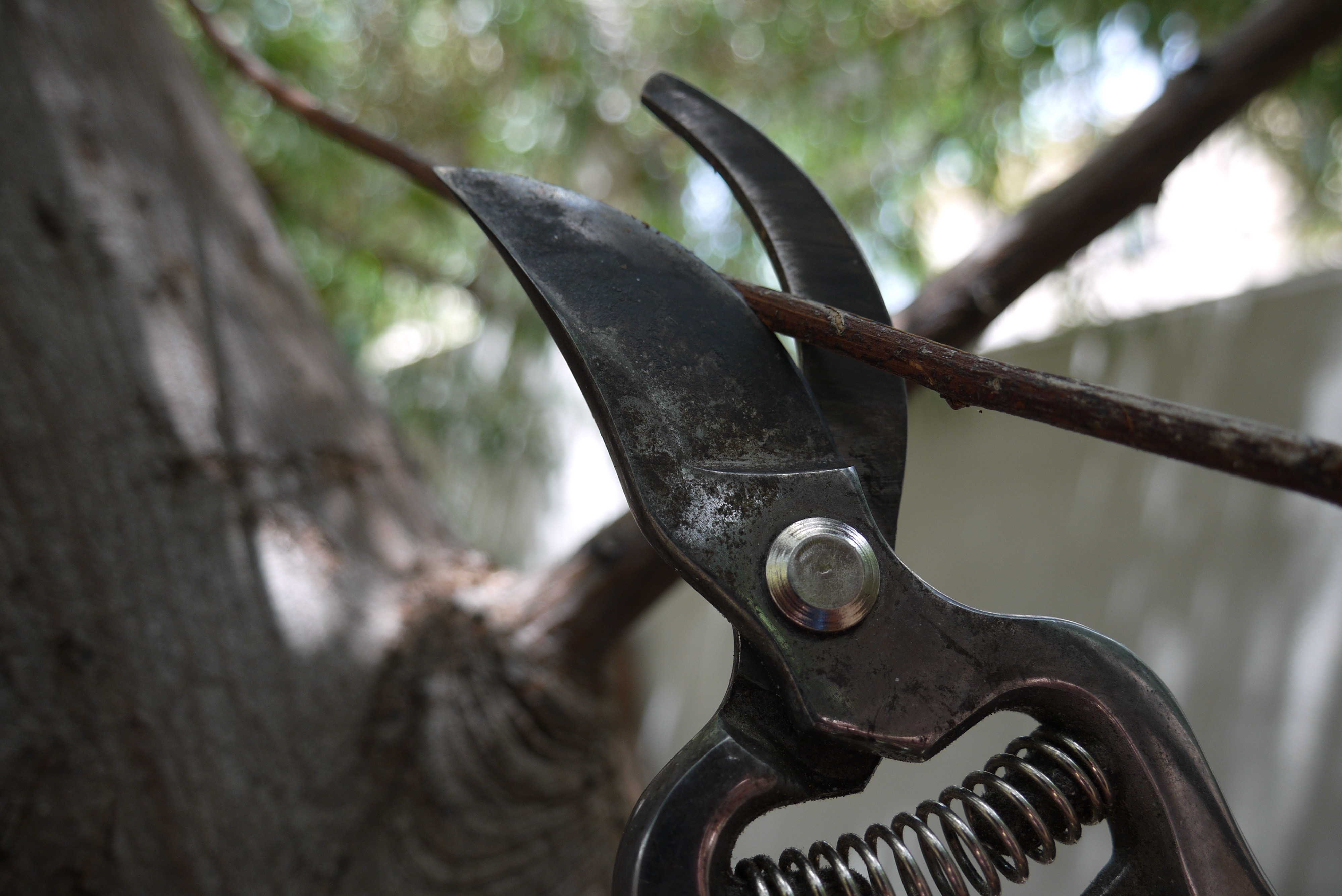 grey metal pruning shears