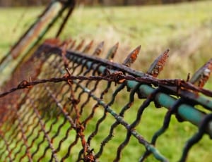 brown barbwire and steel fence thumbnail