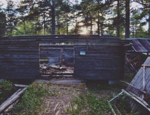 gray wooden shed near trees at daytime thumbnail