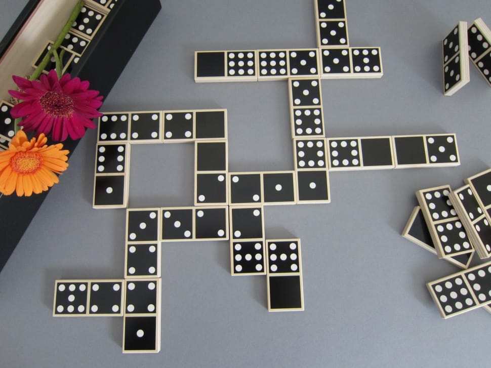 black and white dominoes piece preview