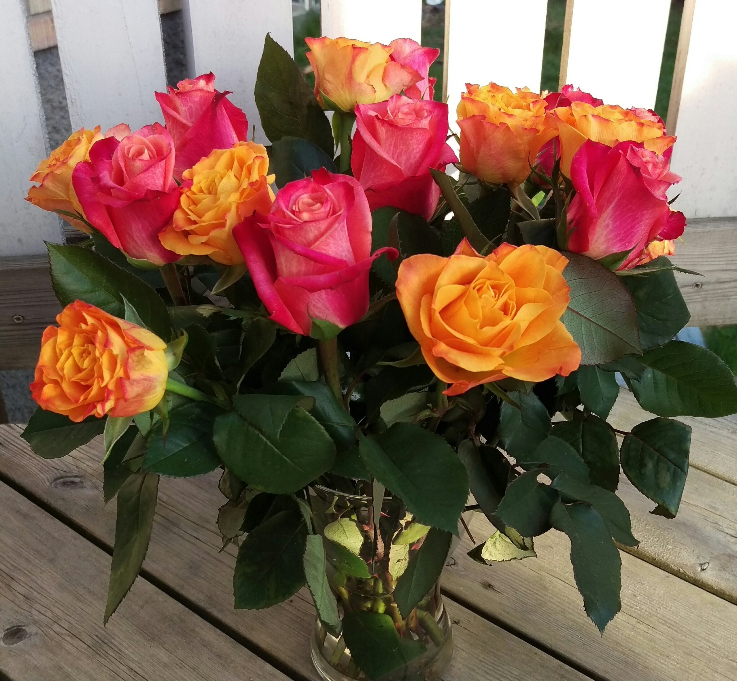orange and red roses