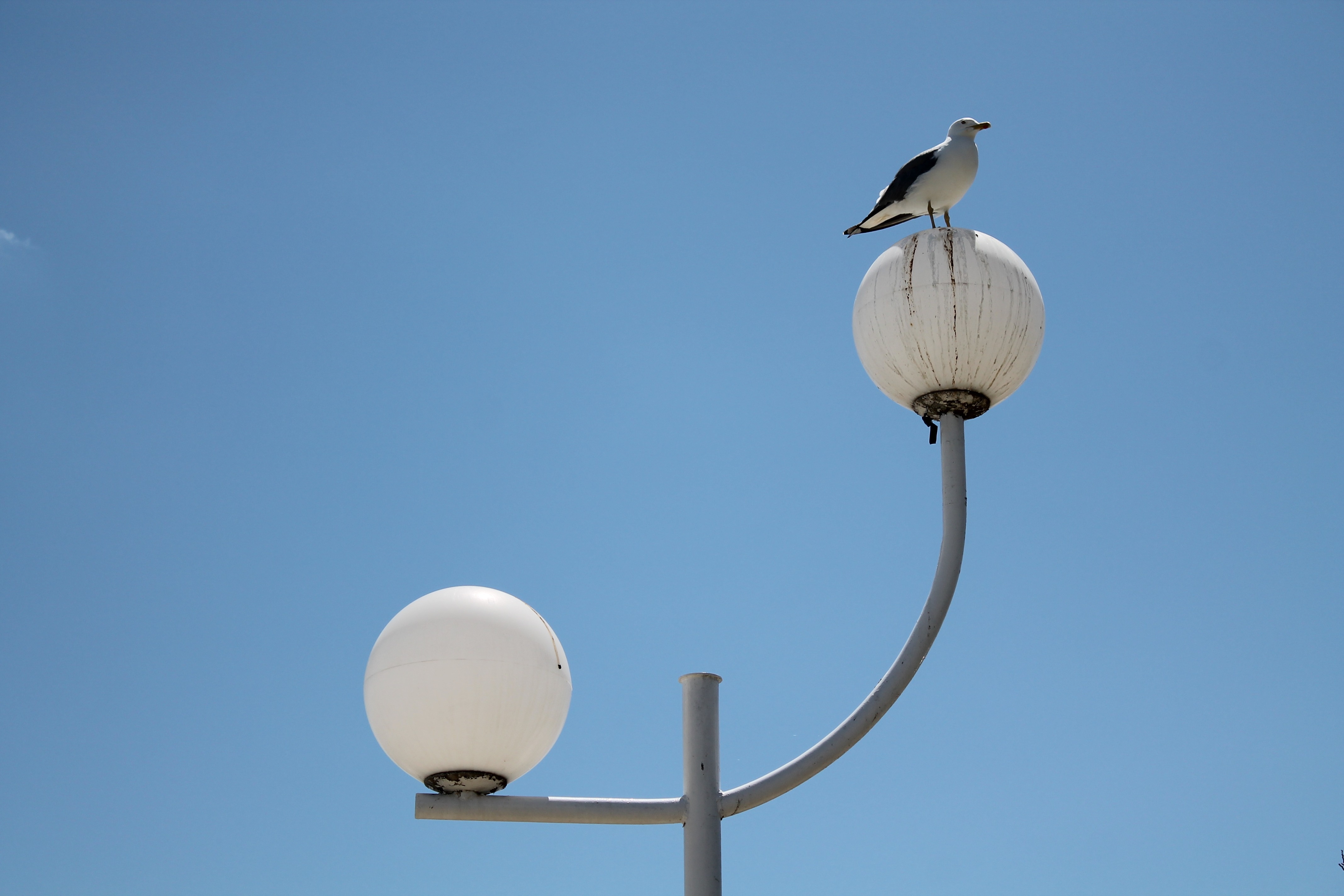 white and gray round post lamp
