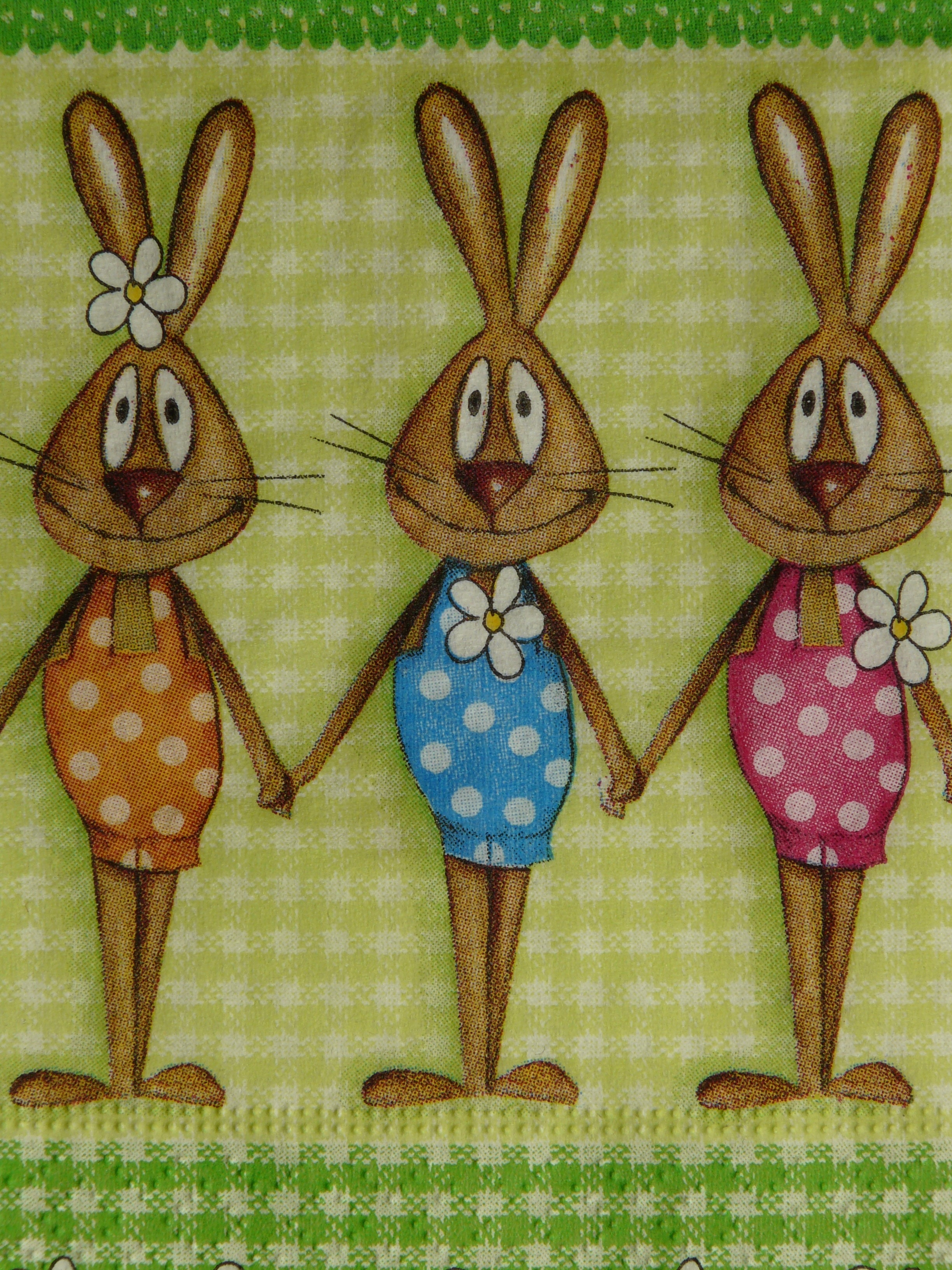 3 brown dressed rabbits printed texttile