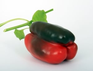 red and black elongated vegetable thumbnail