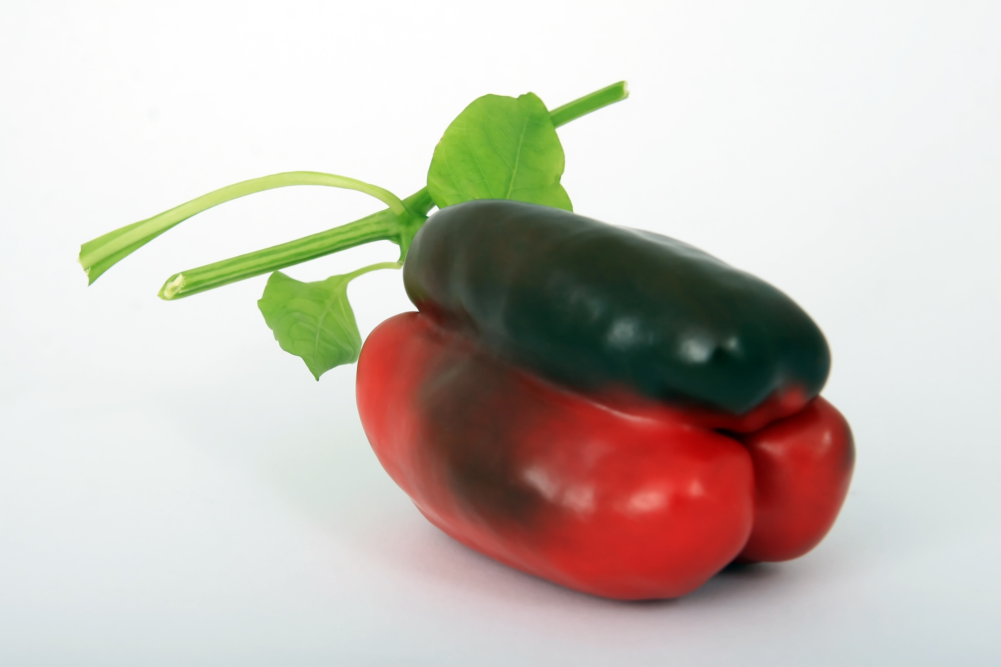 red and black elongated vegetable