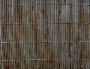 brown and beige wooden bamboo fence thumbnail
