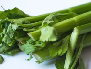 green celery thumbnail