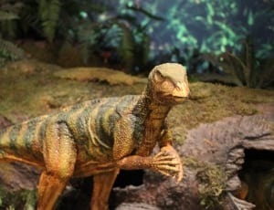 brown and white dinosaur action figure thumbnail