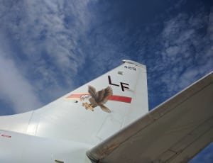LF 429 plane thumbnail