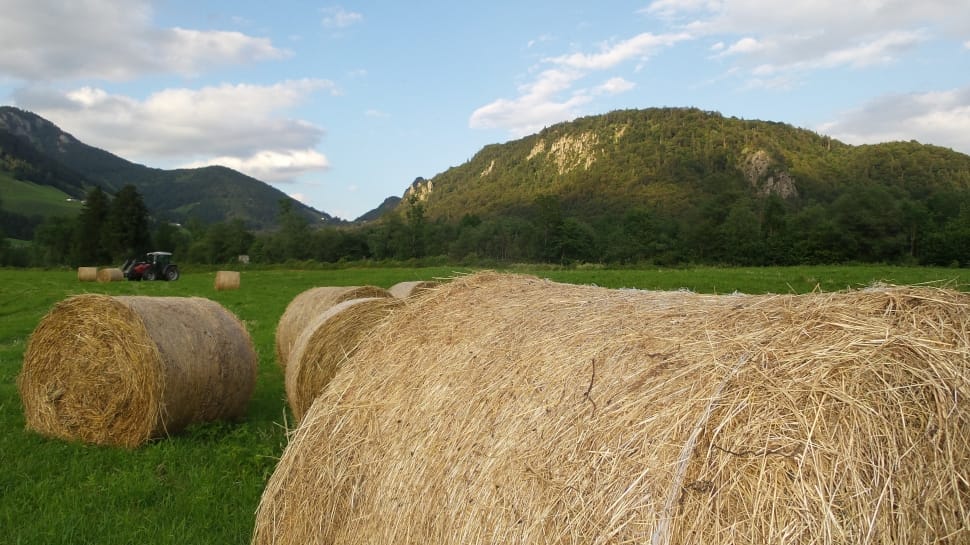 brown hay roll preview