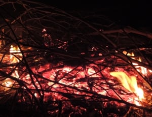 burning branch thumbnail