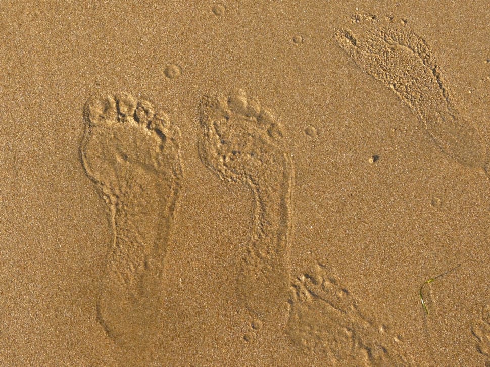 foot prints in sand photo preview