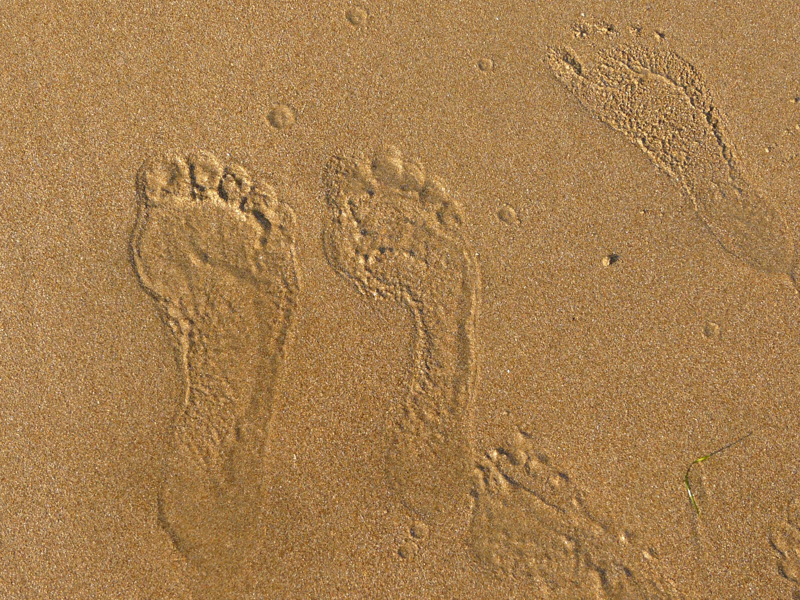 foot prints in sand photo