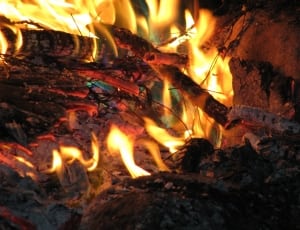 close-up photography of fire thumbnail
