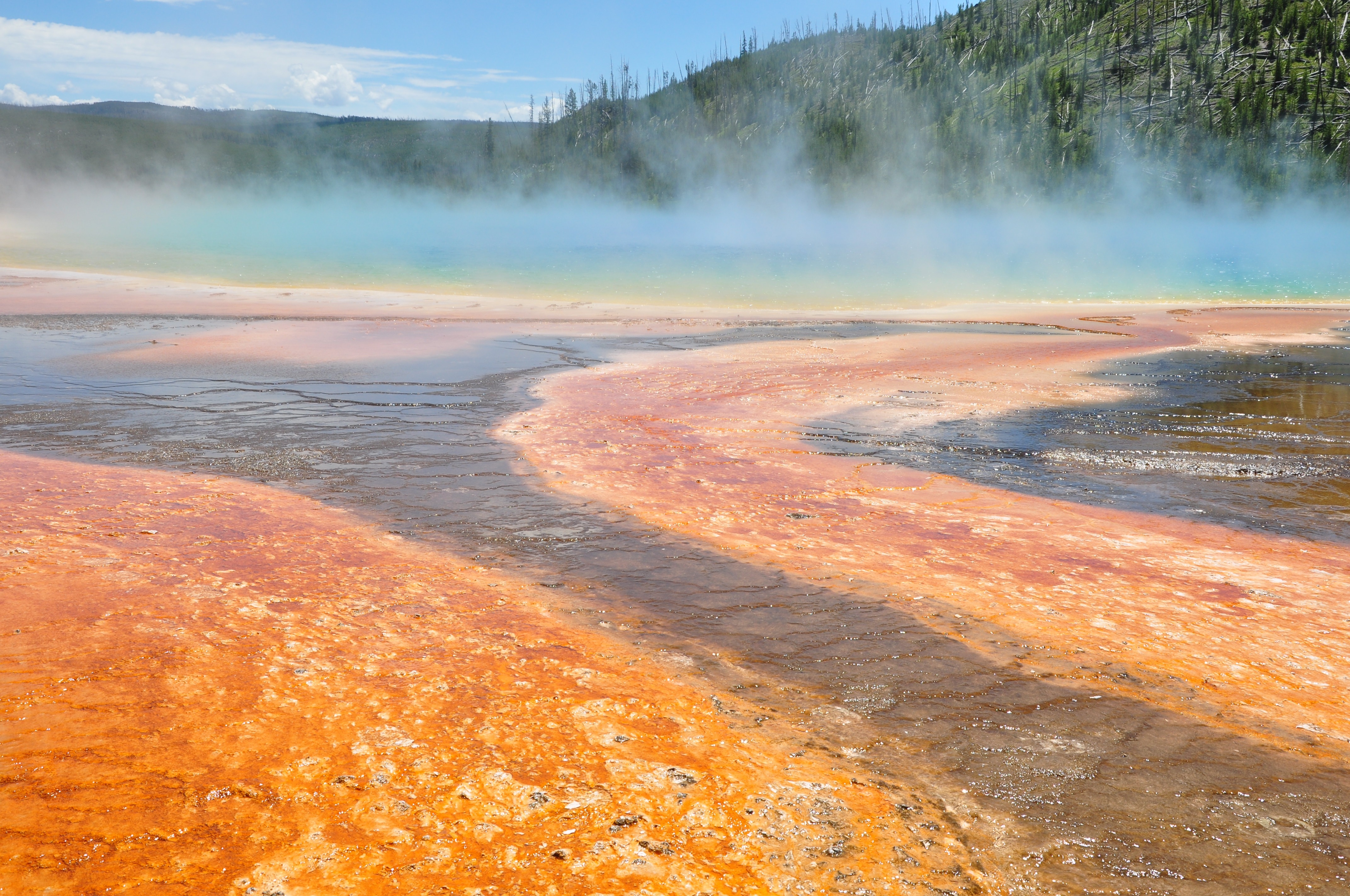 Landscape, Yellowstone, Thermal, geyser, hot spring