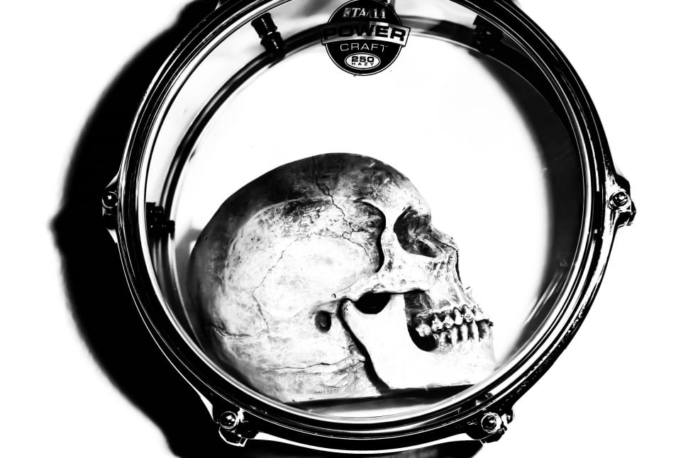 skull decor preview