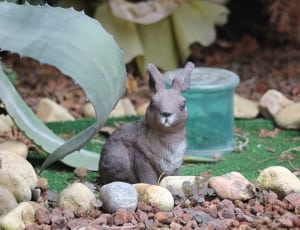 gray rabbit statuette thumbnail