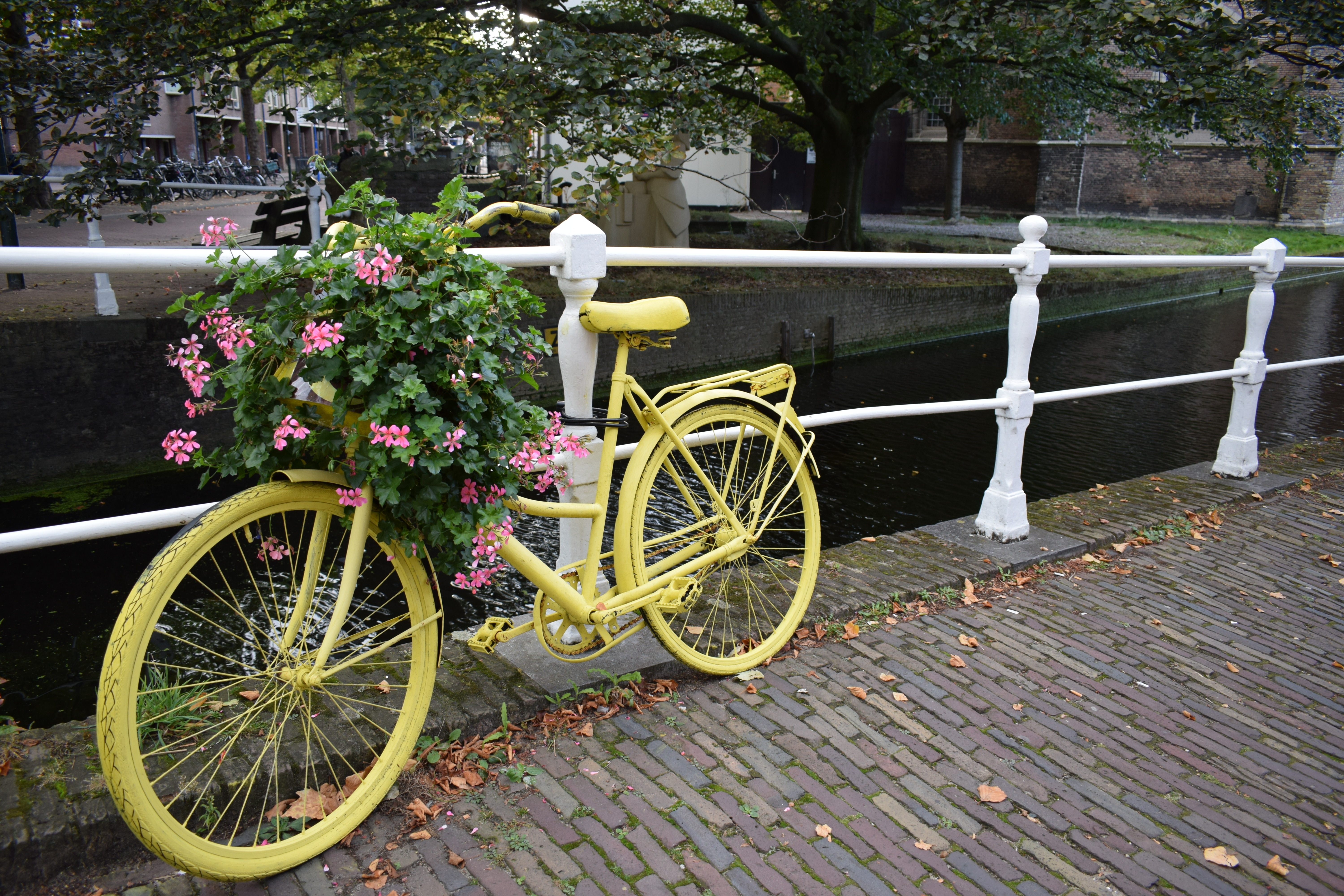 Велосипед в цветах зеленый