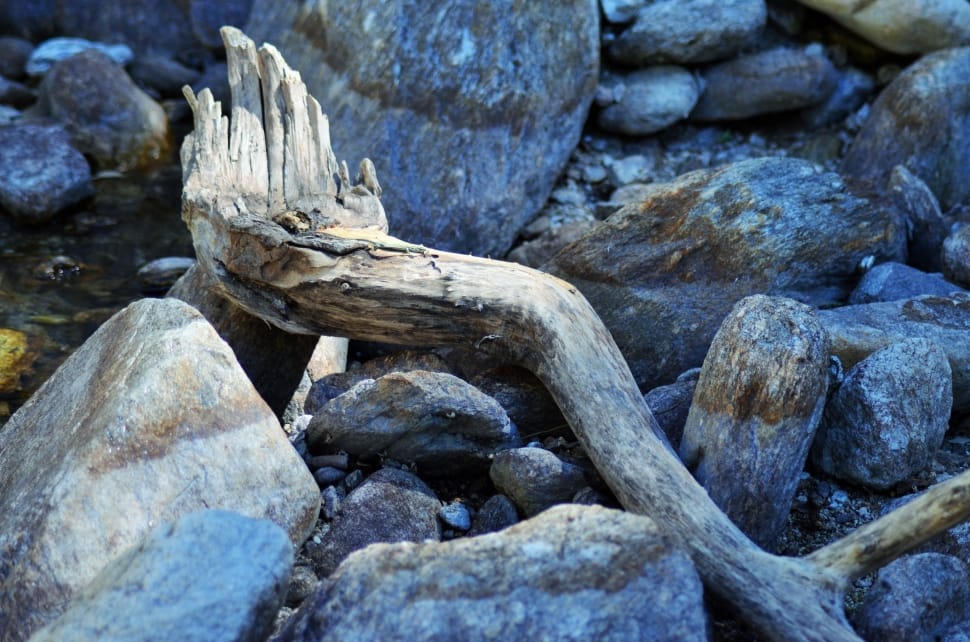 brown drift wood preview