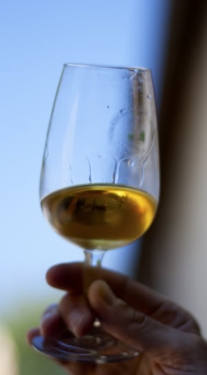 person holding a clear wine glass with yellow liquid thumbnail