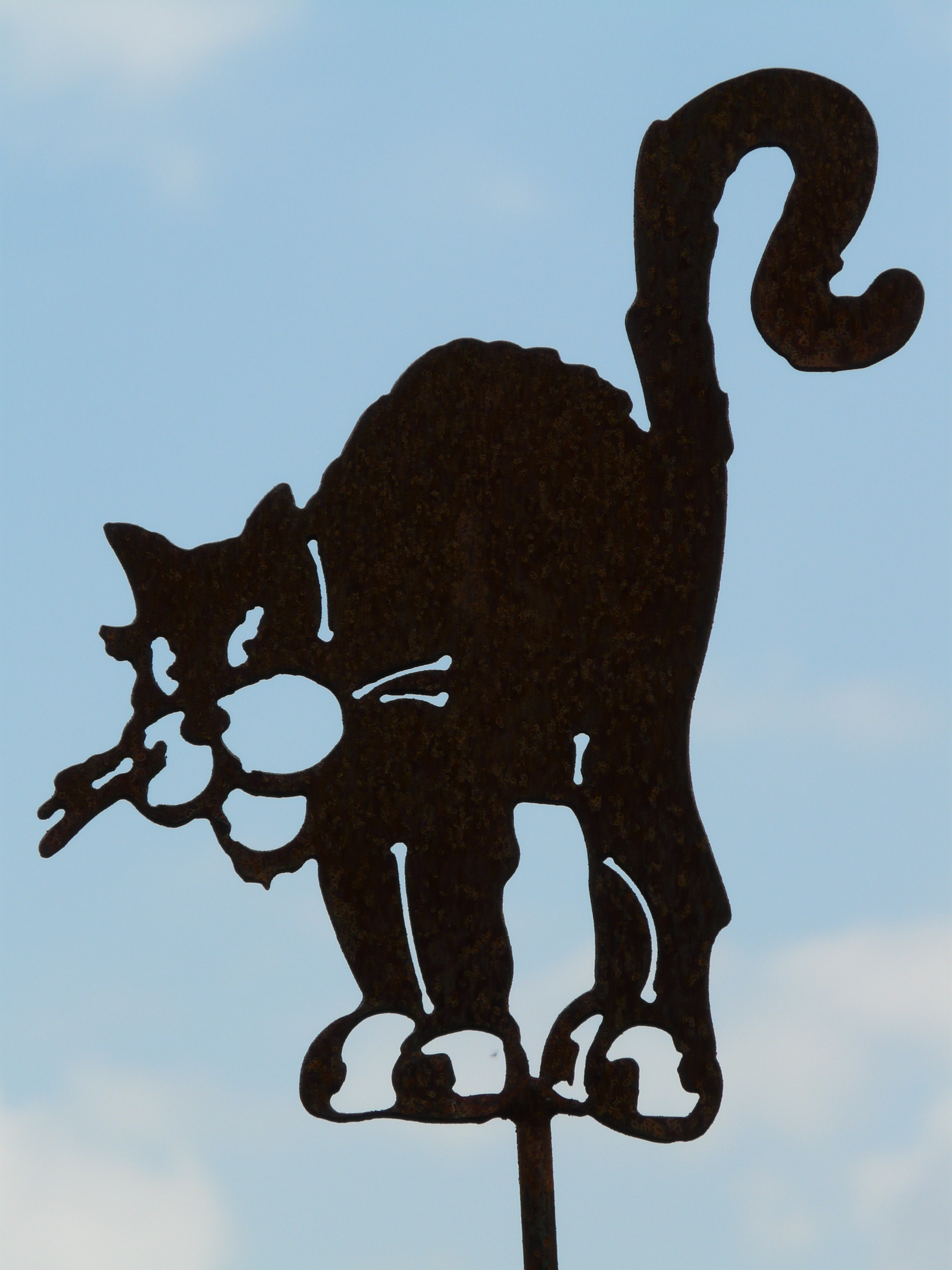 1080x1920 wallpaper | black cat sketch | Peakpx