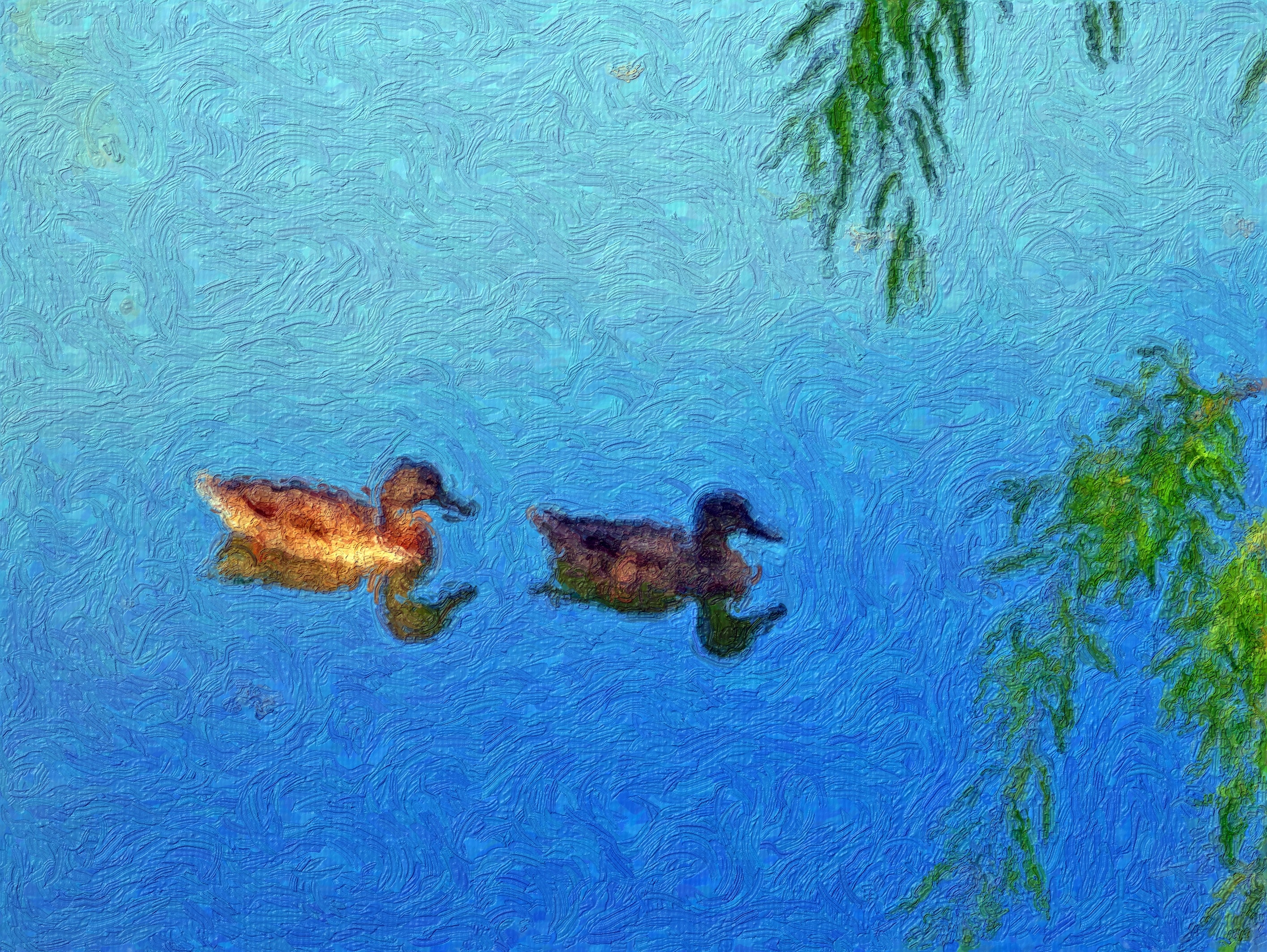 2 assorted color ducks