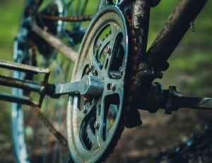 gray bicycle pedal thumbnail