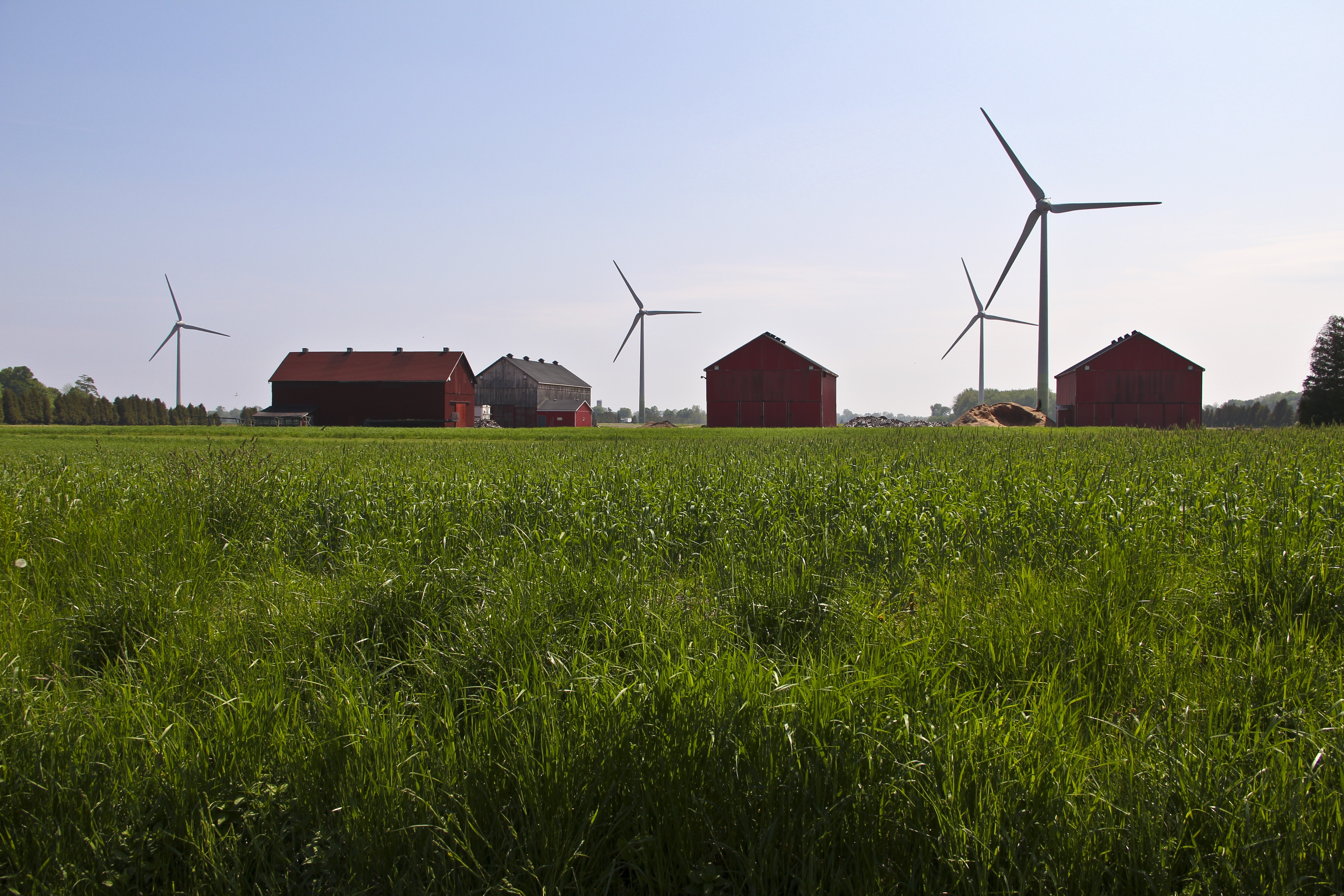 4 barns and 4 wind mills