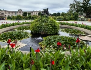 fountain with red petaled flowers thumbnail