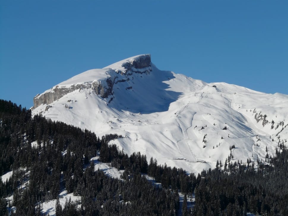snowy mountain and pine trees preview