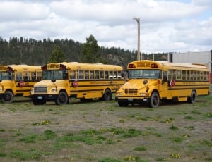 4 black and yellow school bus thumbnail