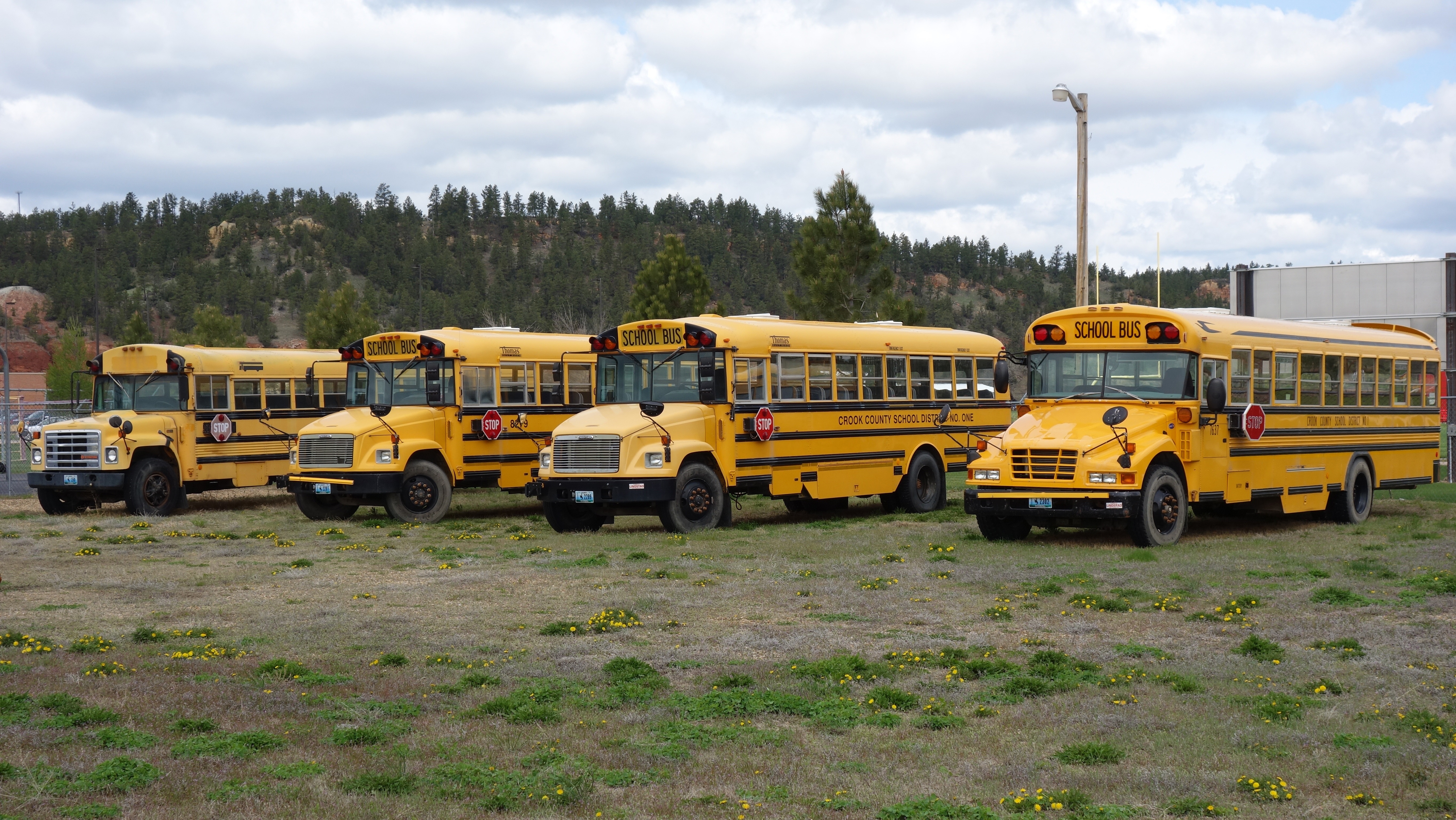 4 black and yellow school bus