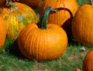 pumpkin orange thumbnail