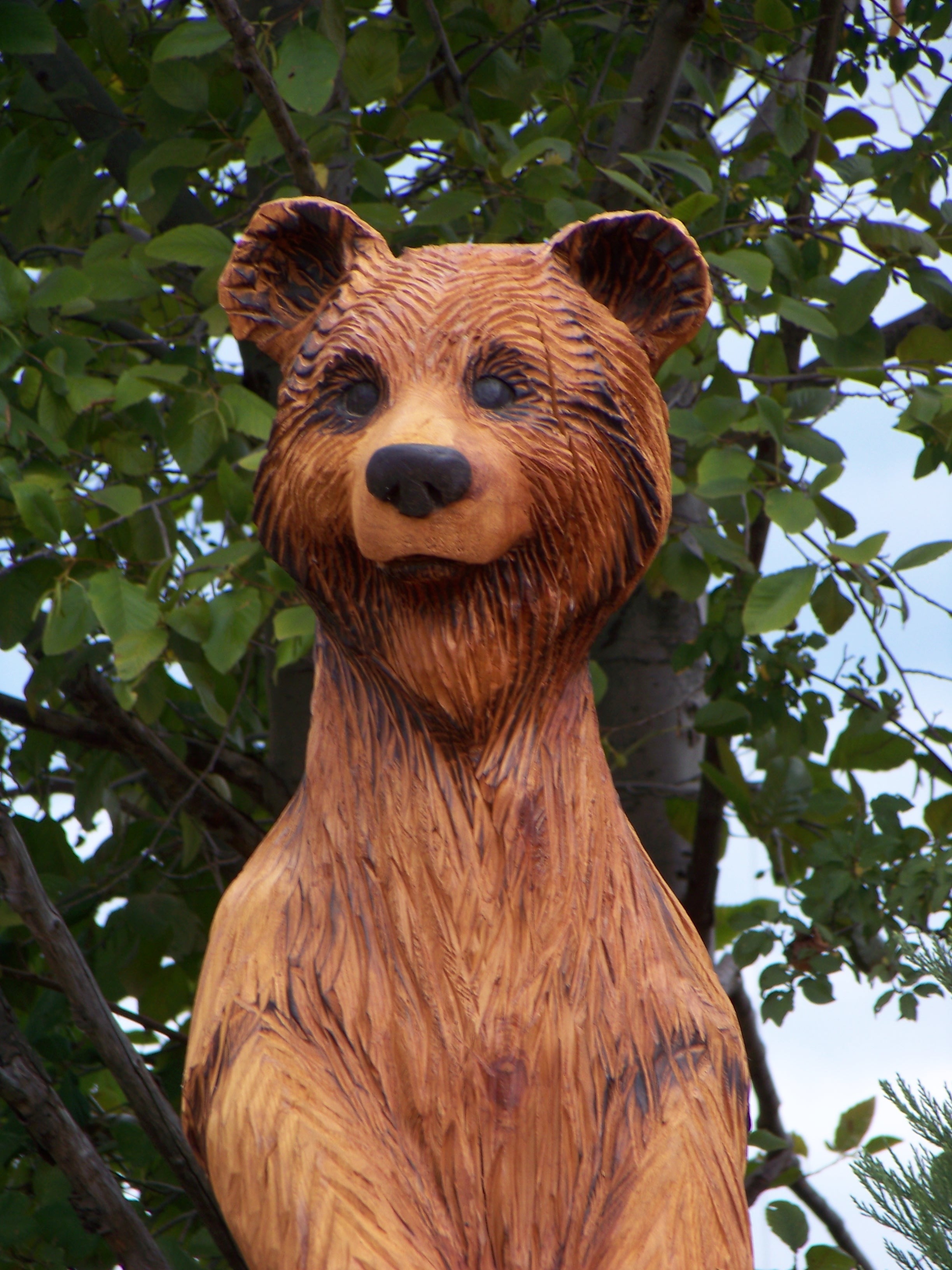 brown wood carved bear