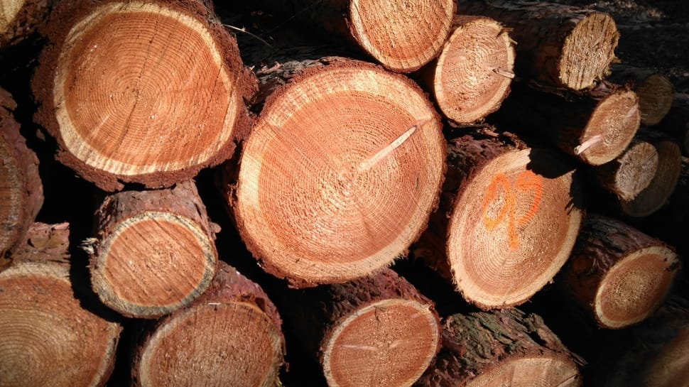 wood log lot preview