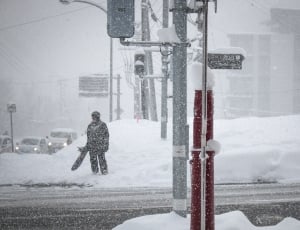 snowboarder standing beside street during winter thumbnail