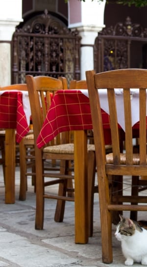 brown wooden chair and table with red cloth dining set thumbnail
