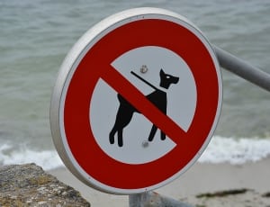 no pets allowed sign thumbnail
