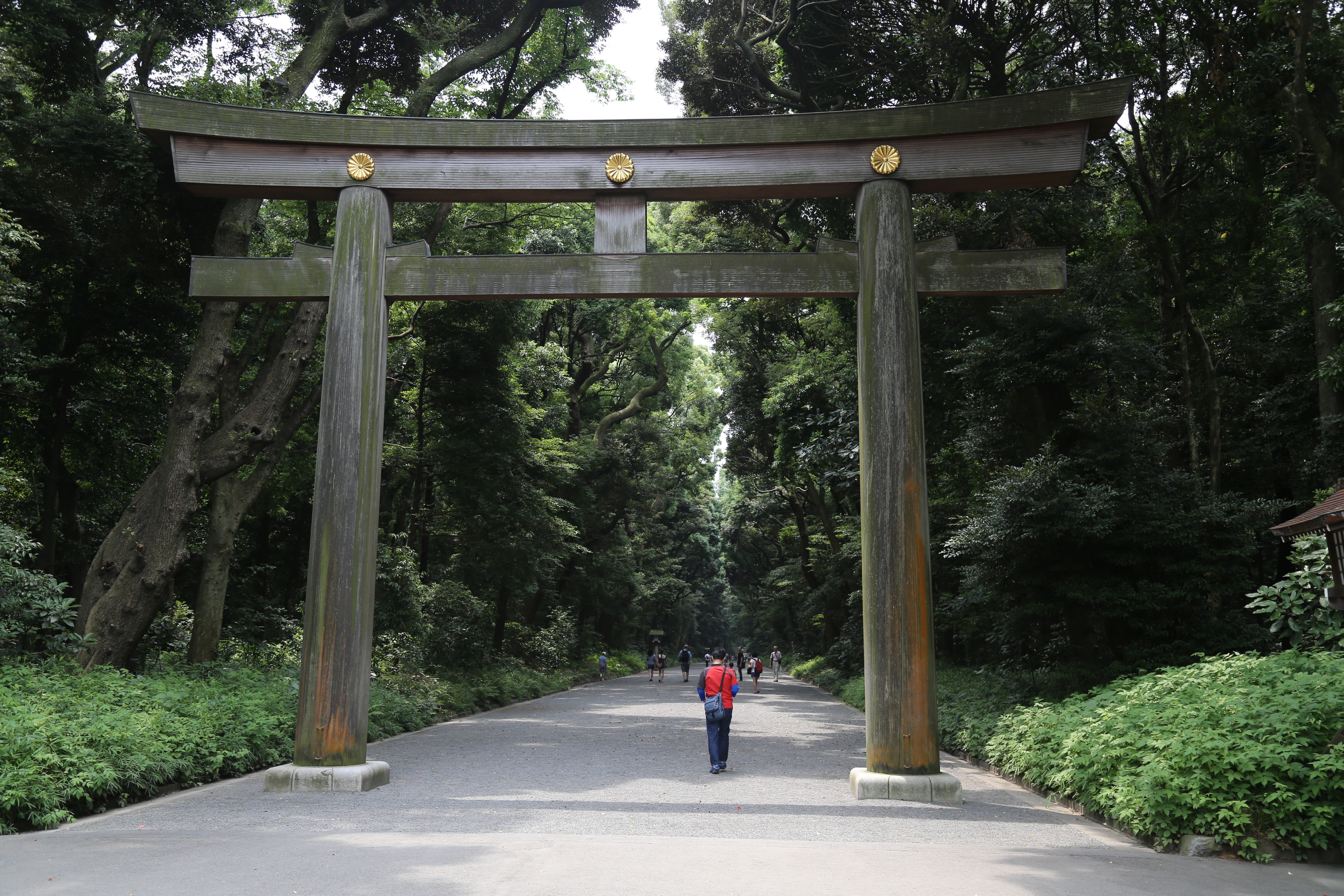 tori gate and man crossing between trees