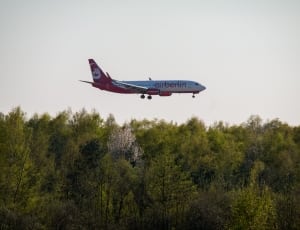 red and white Airberlin plane flying during daytime thumbnail