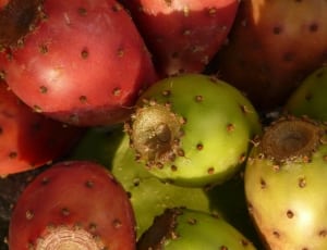pile green yellow and red round fruits thumbnail