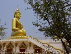 brass buddha statue thumbnail