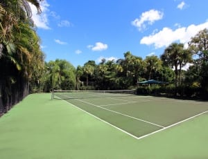green and white tennis court thumbnail