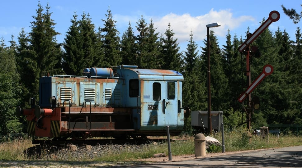 blue and brown locomotive near green pine trees during daytimes preview