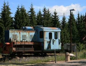 blue and brown locomotive near green pine trees during daytimes thumbnail