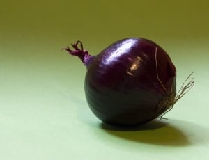 purple onion thumbnail