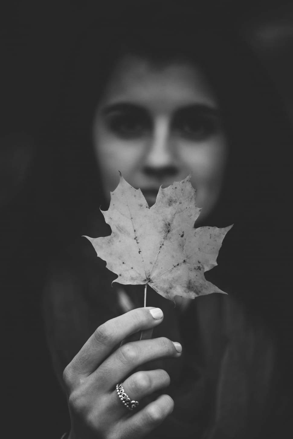 greyscale photo of person holding leaf preview