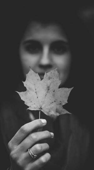 greyscale photo of person holding leaf thumbnail