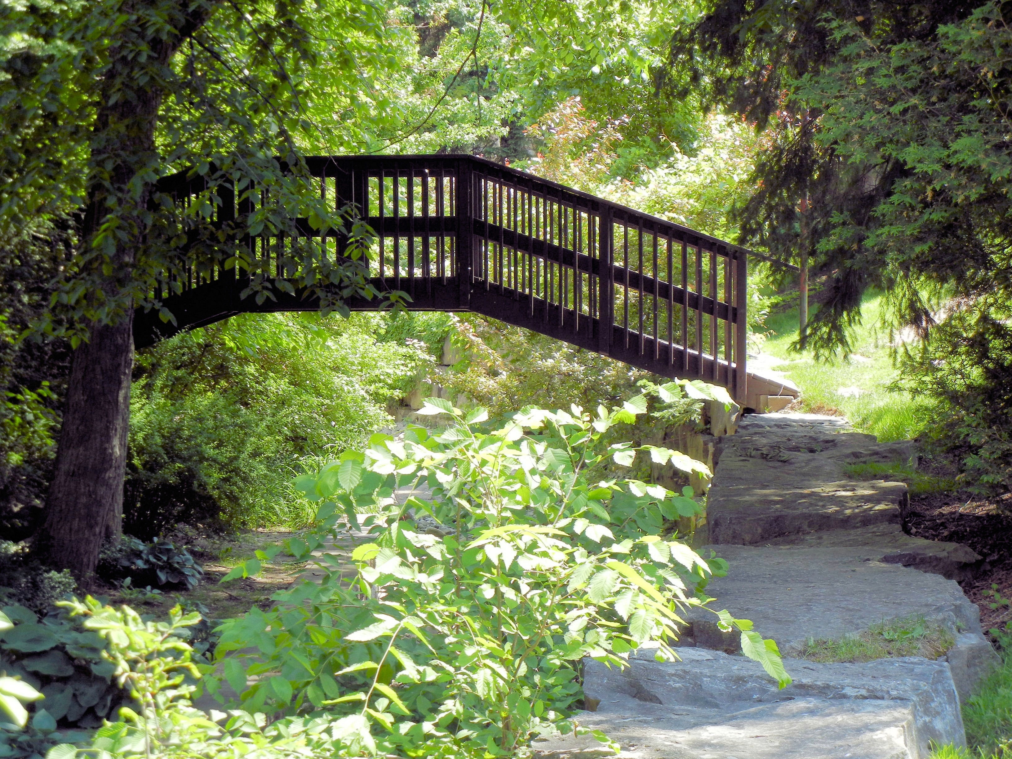 brown wooden footbridge