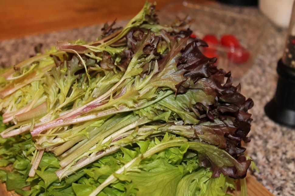 brown and green celery preview